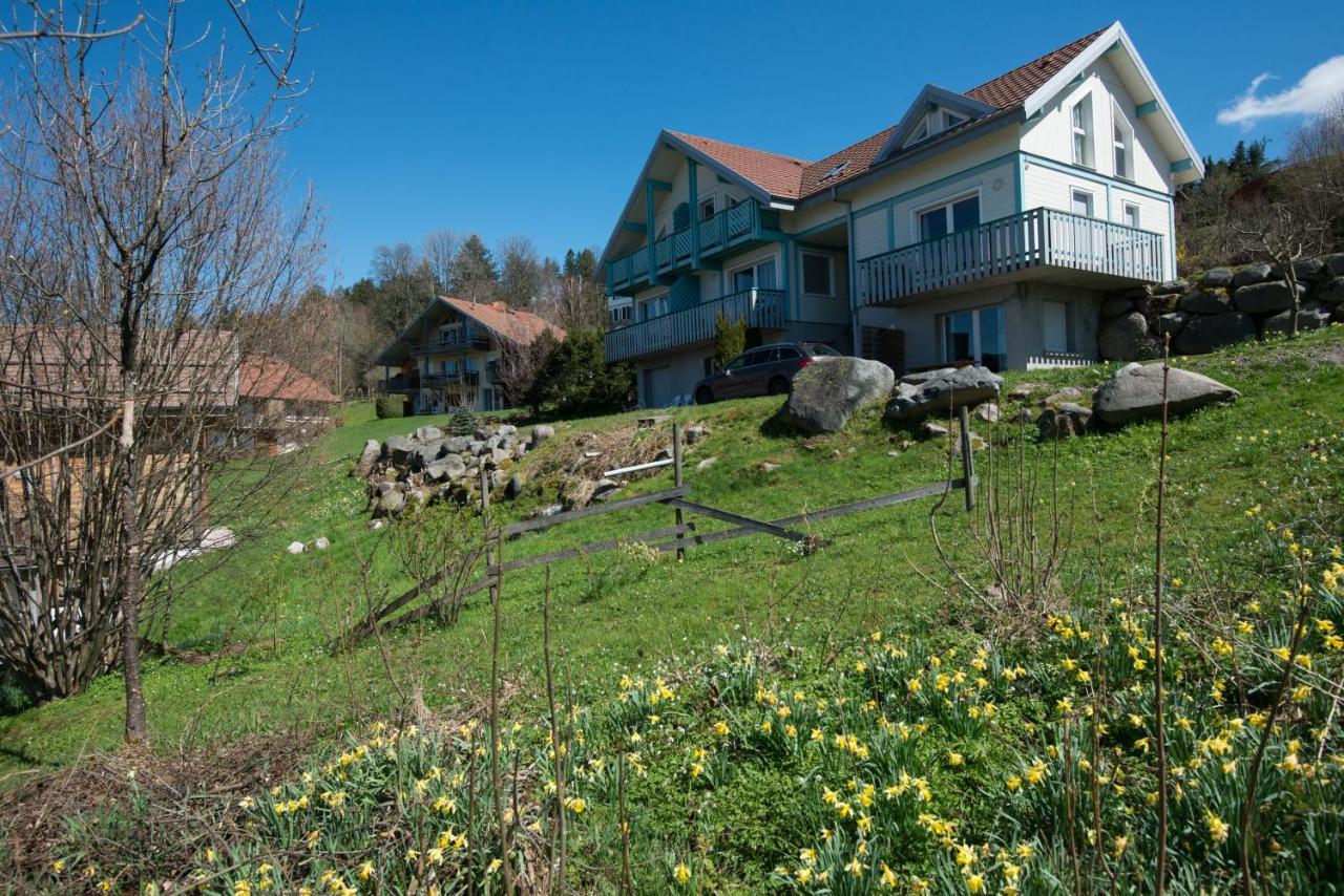 Les Adrets Aparthotel Gérardmer